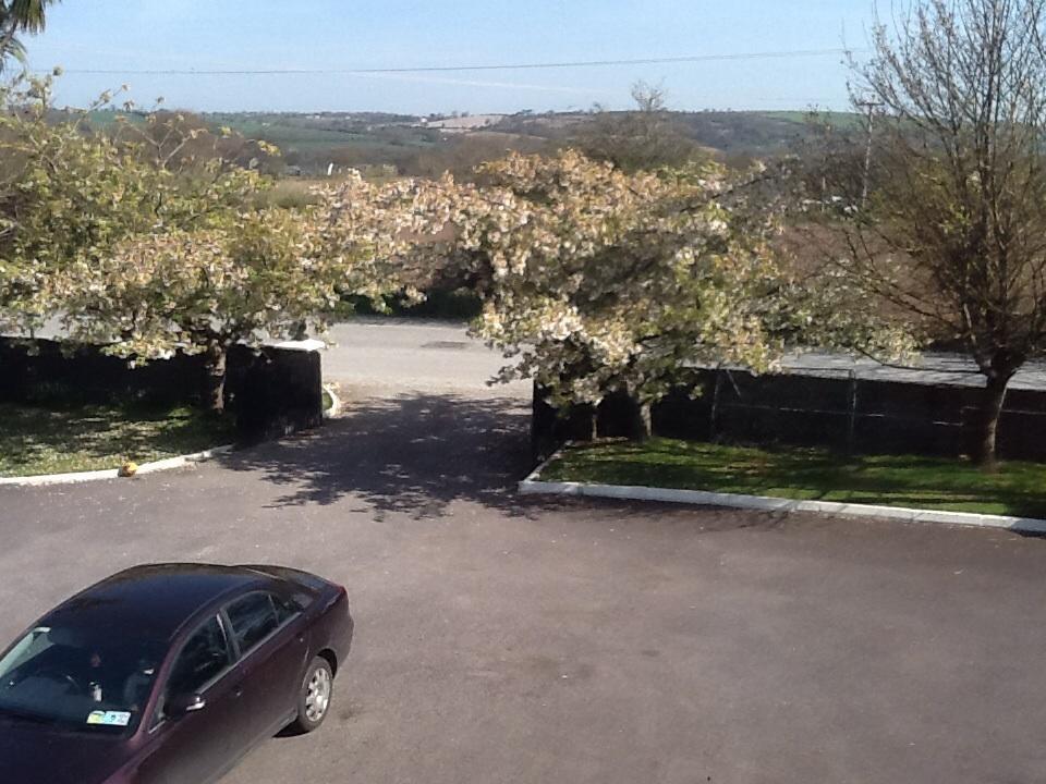 Carrigshane House Bed and Breakfast Midleton Esterno foto
